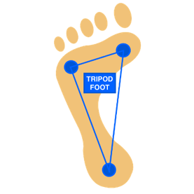 foot strengthening tripod foot